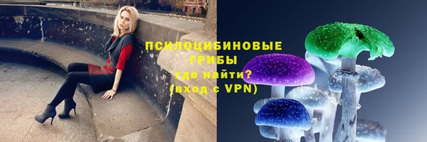 эйфоретик Покачи