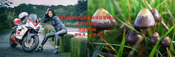 дурь Покровск